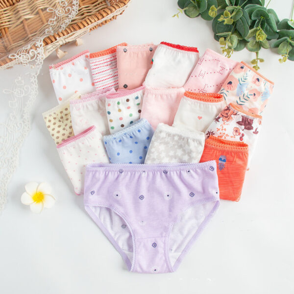 Children's Underwear Multi-fancy Floral Triangle - Image 5