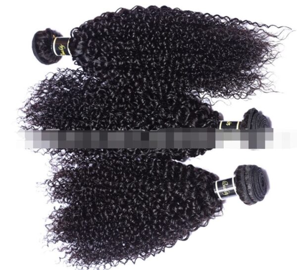 Live Export Wig Malaysia Hair Extension - Image 6